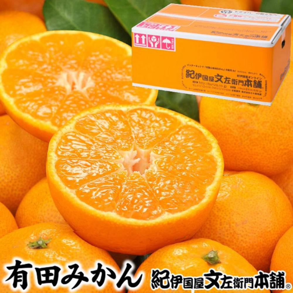 【ふるさと納税】ブランド有田みかん［Lサイズ］秀品10kg／産地直送／薄皮で甘い美味しい和歌山県産／紀伊国屋文左衛門本舗 | みかん 蜜柑 フルーツ 果物 くだもの 食品 人気 おすすめ 送料無料
