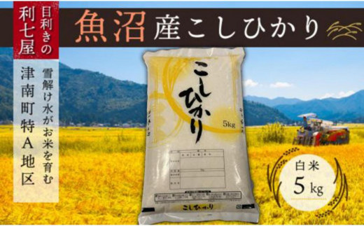 【令和8年産先行予約】【6ヶ月定期便】 【魚沼産コシヒカリ 白米 5kg × 全6回】 雪解け水がお米を育む、津南町特A地区の美味しいお米。| 新潟産コシヒカリ 新潟県産コシヒカリ 魚沼産こしひかり 米 お米 こしひかり 白米 精米 ブランド米 新潟県 津南町 中島利七