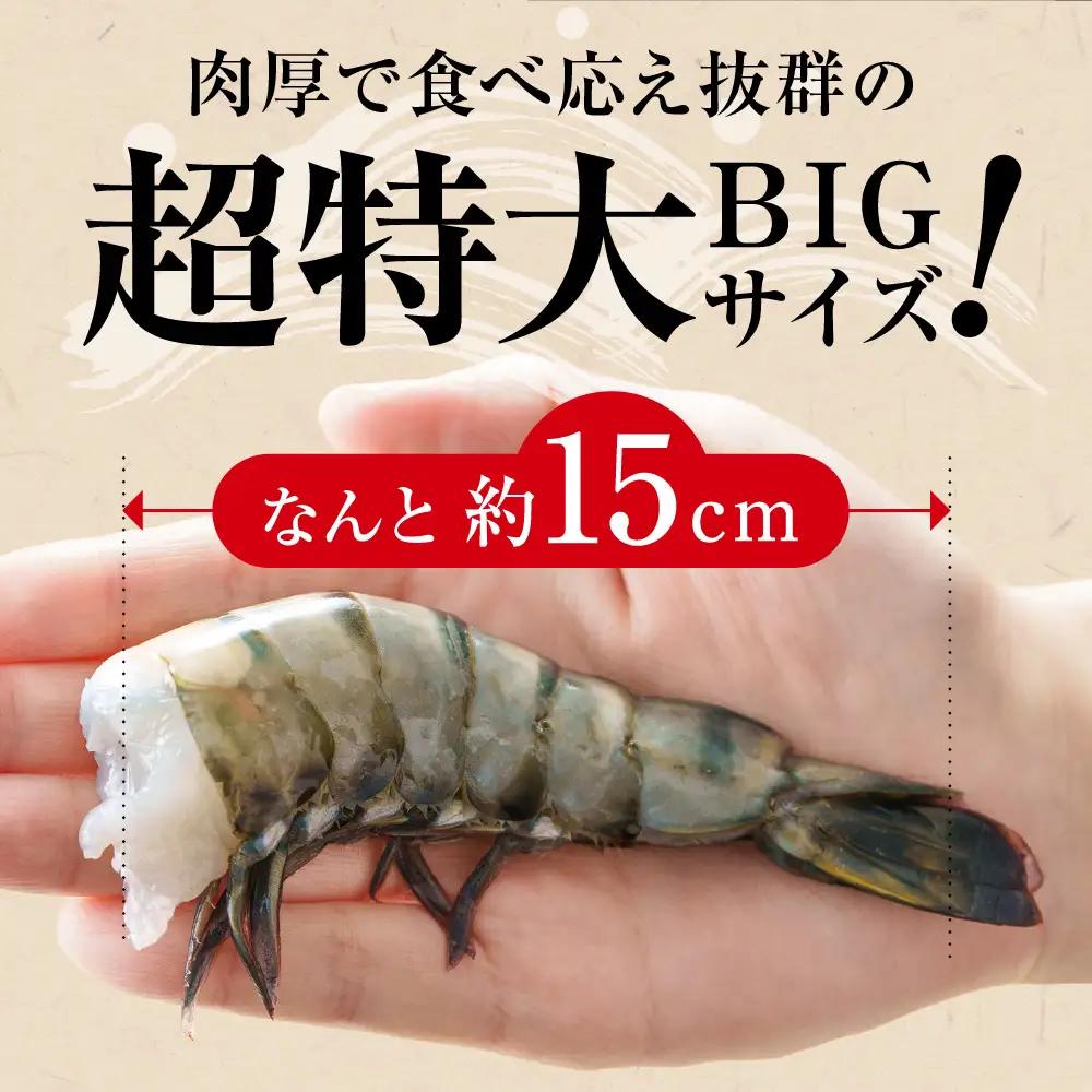 特大 ブラックタイガー 無頭えび 570g前後15尾