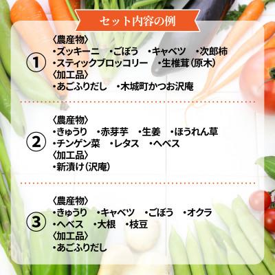 ふるさと納税 木城町 【毎月定期便】農家おまかせ木城の旬野菜 K04_T001_2 全3回 |  | 02