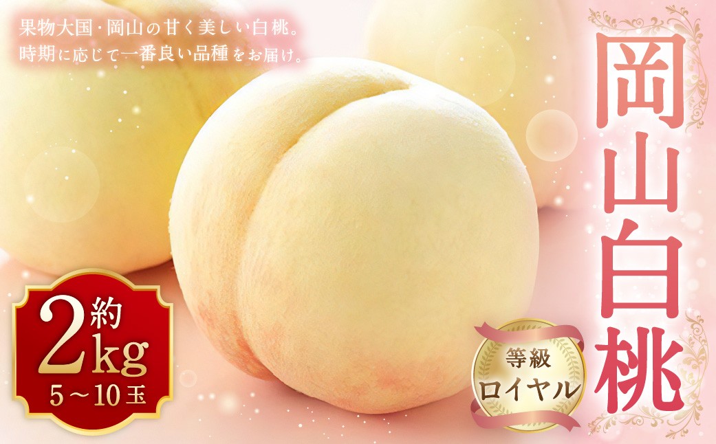 
                  岡山白桃 ロイヤル 5～10玉 約2kg 岡山県産  【2027年7月上旬～8月下旬迄発送予定】 ／ 白桃 桃 もも 果物 果実 フルーツ 岡山県 美咲町 冷蔵
                