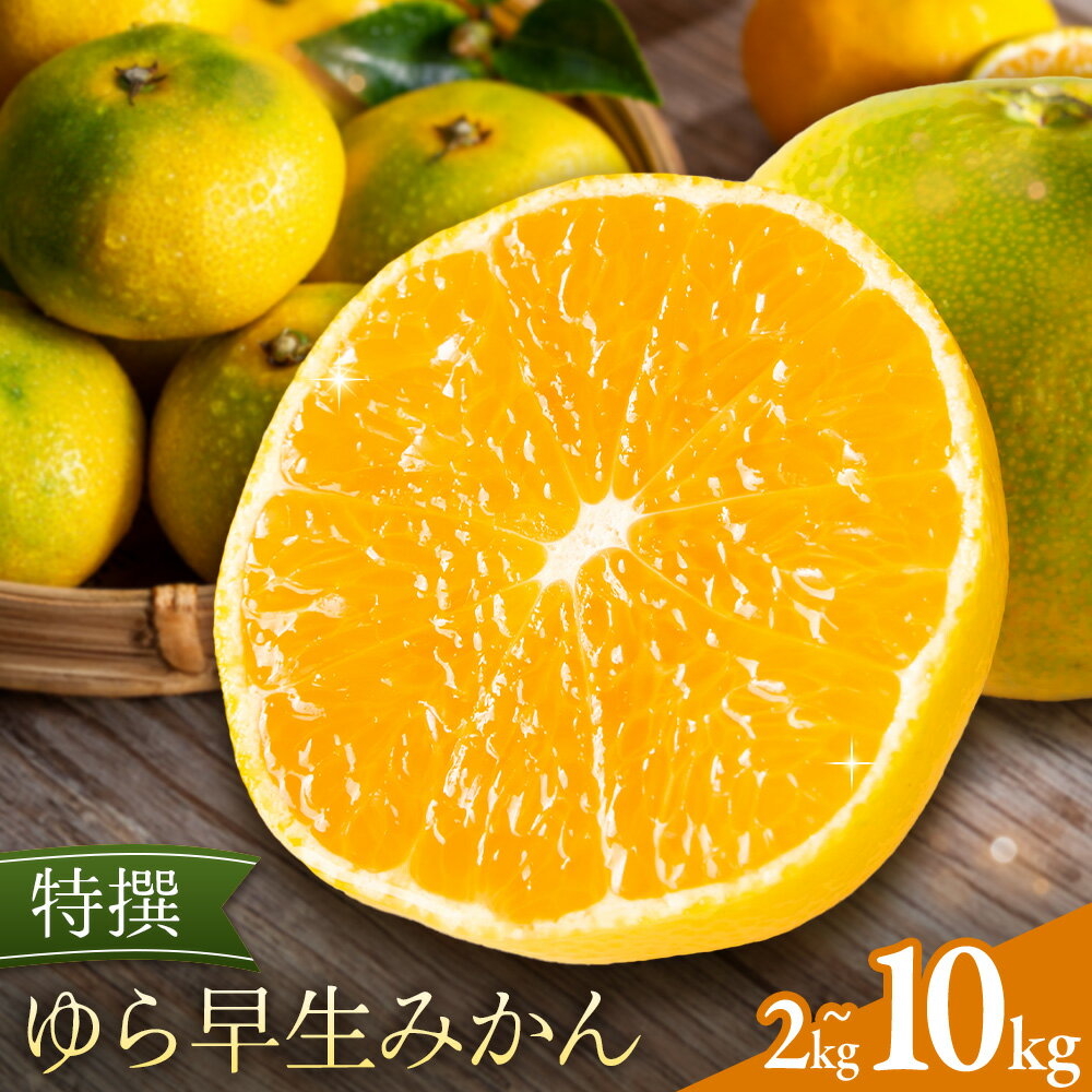 【ふるさと納税】特撰 ゆら早生みかん 選べる 2kg 3kg 5kg 10kg 有田マルシェ《2026年10月上旬-11月上旬頃出荷予定》 和歌山県 日高町 みかん 柑橘 フルーツ 送料無料 蜜柑 ミカン 贈答用 早生みかん