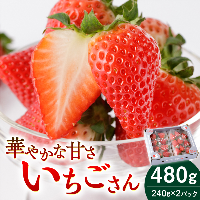 【先行予約 2027年1月～発送】 いちごさん（240g×2パック）【StrawberryFarm-K】[IBJ001]