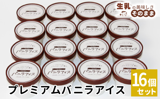〈スピード発送〉マダガスカル産　バニラビーンズ使用！バニラアイスクリーム (80ml)×16個入り 根羽村 ネバーランド 12000円