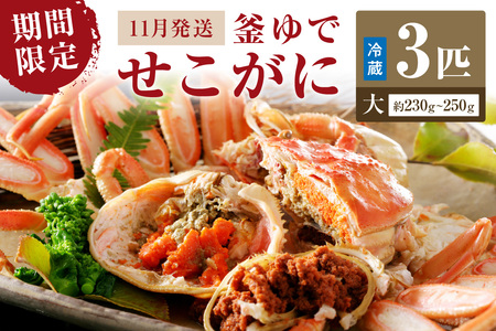 【期間限定・冬の味覚！】釜ゆでせこがに 大サイズ (230ｇ～250ｇ) 3匹入り （11月発送）／北畿水産