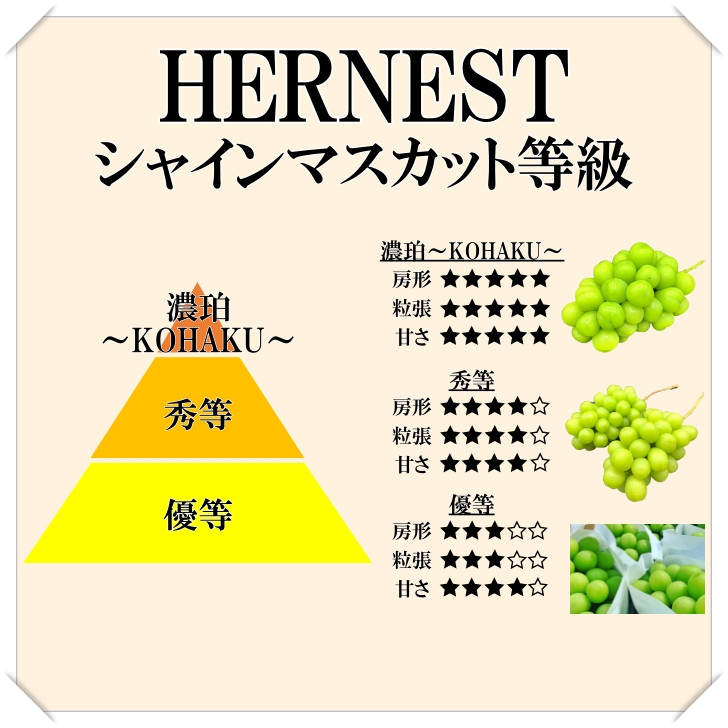 ＜2025年発送分先行予約＞山梨県南アルプス市産シャインマスカット　秀等品　約1.5ｋｇ　2～3房 ALPAH016