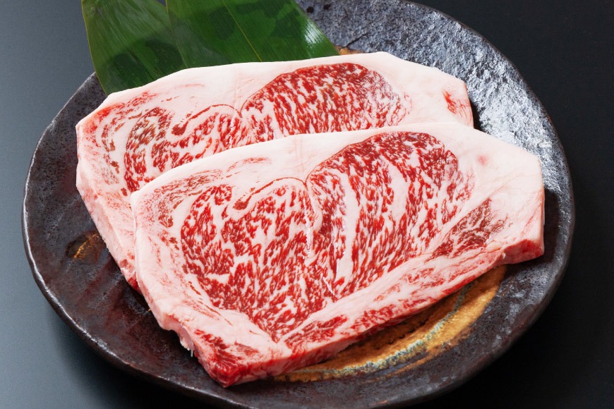 牛肉 黒毛和牛 宮崎産 サーロインステーキ(250g×2枚) 計500g [ウィズ・クリエイティブ 宮崎県 日向市 452061463] 和牛 肉 ステーキ サーロイン 冷凍 真空パック