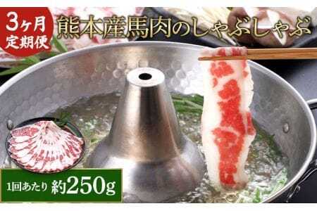【3か月定期便】熊本産 馬肉 しゃぶしゃぶ 約250g