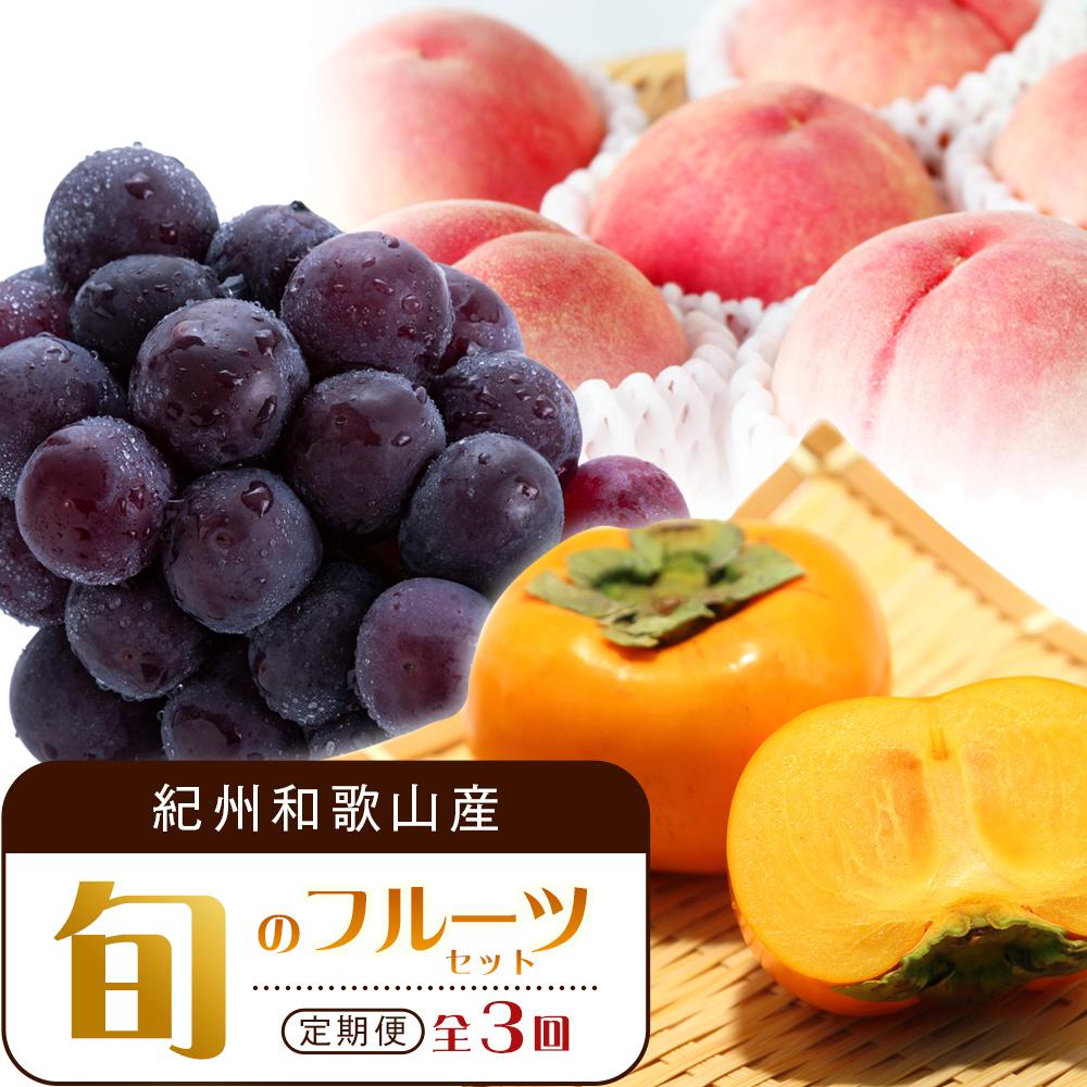 【7・8・10月 全3回】紀州和歌山産旬のフルーツセット（桃・ピオーネ・ひらたねなし柿）定期便 【魚鶴商店】【UT67】