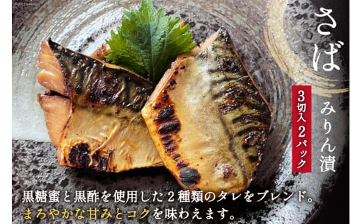 漬魚 詰め合わせ 3種16切入 計1kg [カネダイ 宮城県 気仙沼市 20562808] ★宮城県産銀鮭使用★ 魚 魚介類 冷凍 セット 詰合せ 個包装 おかず 焼き魚 贈物 ギフト プレゼント 保