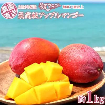 マンゴー【2026年発送】最高級 常夏アップルマンゴー！糖度17度以上 約1kg