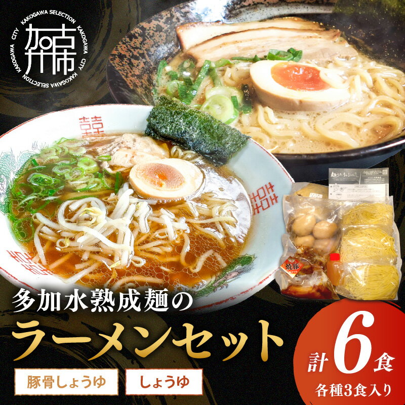【ふるさと納税】【レビューキャンペーン】 大西食品「多加水熟成麺のラーメンセット とろとろチャーシュー・味玉付き」