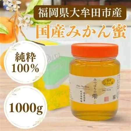 みつばちの雫　国産みかん蜂蜜　1000g_調味料 はちみつ  ハチミツ 蜂蜜_【1481074】