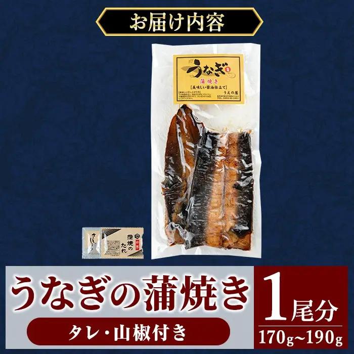 a982-A うなぎ蒲焼き・1尾分(170g～190g)【うえの屋】姶良市 うなぎ 鰻 ウナギ 蒲焼き 蒲焼 かばやき カット タレ 鹿児島 国産 冷凍