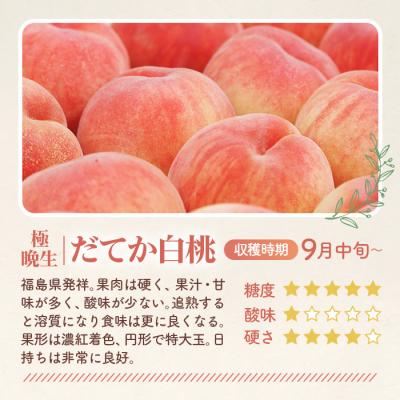 ふるさと納税 桑折町 もも【だてか白桃・2026年産先行受付】特秀3kg(8〜11玉)桑折町振興公社　桃 |  | 01