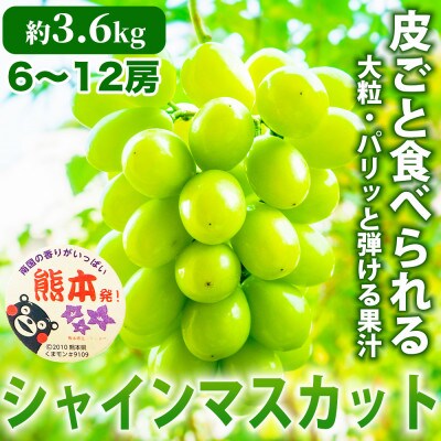 シャインマスカット ぶどう 6～12房 約3.6kg(宇城市)【配送不可地域：離島】【1638959】