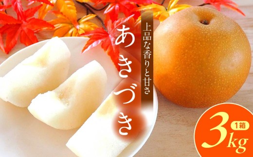 梨 あきづき 3kg 7玉  2026年 先行予約 数量限定 | 梨 フルーツ 果物 あきづき 和梨 産地直送 限定品 贈り物 新鮮 お取り寄せ デザート ギフト 風味豊か 香り 上品 甘い 限定 果樹 旬 ジューシー みずみずしい 高糖度 季節のフルーツ 埼玉県 久喜市