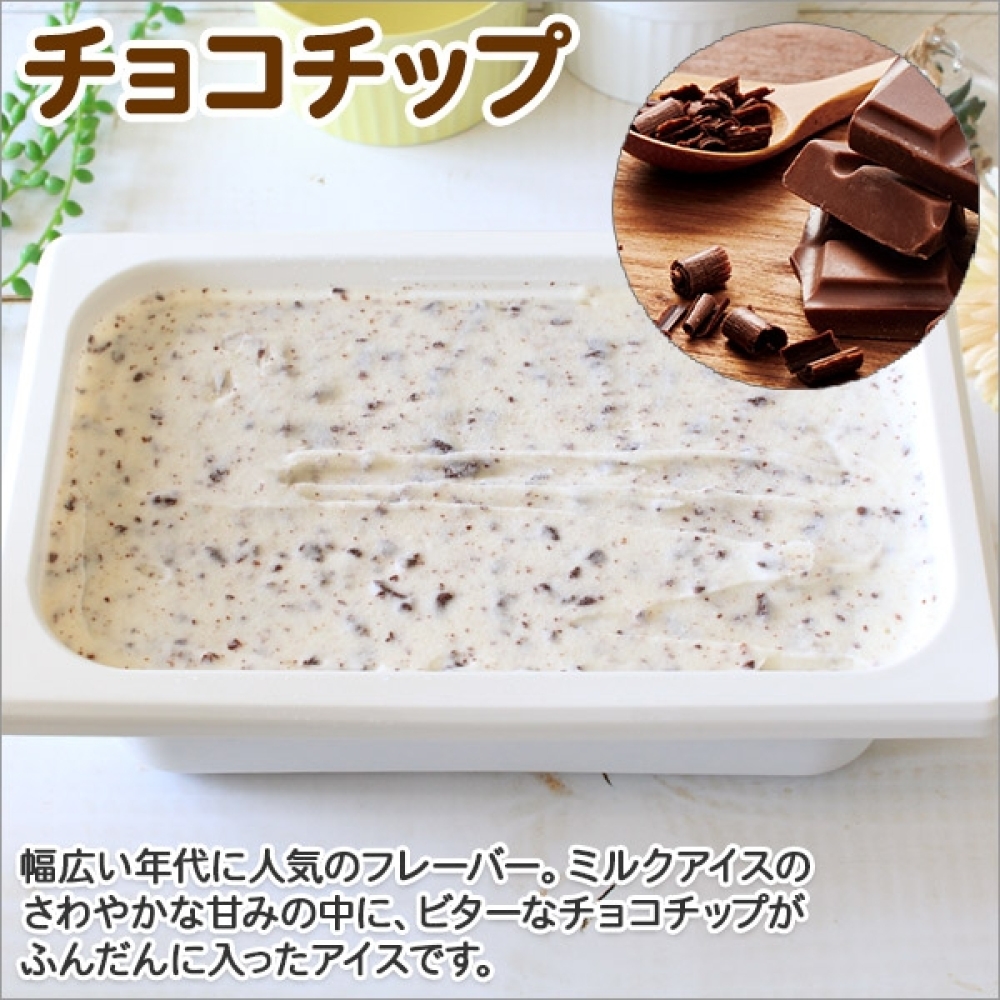 598.アイスクリーム チョコチップ ジェラート チョコ 業務用 2リットル 2L チョコレート アイス 大容量  手作り 北海道 弟子屈町_イメージ2