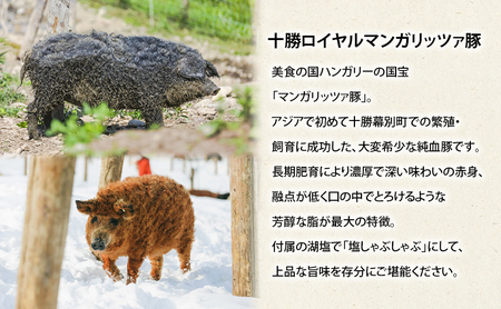 定期便 全3回 北海道十勝幕別のブランド放牧豚 食べ比べ 豪華満喫