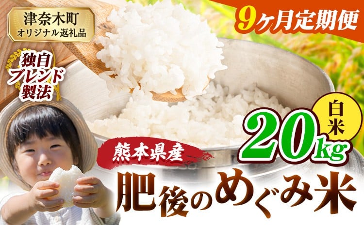 
            【9ヶ月定期便】白米 熊本県産 ブレンド米 肥後のめぐみ米 20kg 熊本県産 ふるさと納税 精米 米 こめ ふるさとのうぜい コメ お米 おこめ《お申込み翌月から出荷》
          