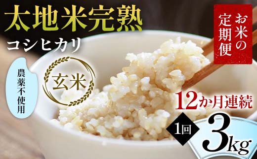 【先行予約】お米の定期便 農薬不使用米 太地米完熟 【こしひかり】 玄米3kg×12か月連続 ブランド米 お米 人気 F7X-0731