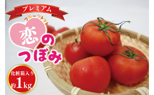 【先行予約】【2026年11月より順次発送】JA フルーツトマト恋のつぼみプレミアム約1kg(化粧箱)｜トマト フルーツトマト プレミアム 化粧箱 贈り物 ギフト 恋のつぼみ 数量限定 野菜 茨城県 行方市(AE-7)