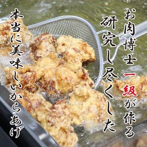 秀伝からあげ 【 全国からあげ グランプリ 5年 連続 金賞 】からあげ お肉博士 からあげ1級 からあげ 店主 からあげ 本気 からあげ 愛媛 からあげ みかん からあげ 漬け からあげ タレ から