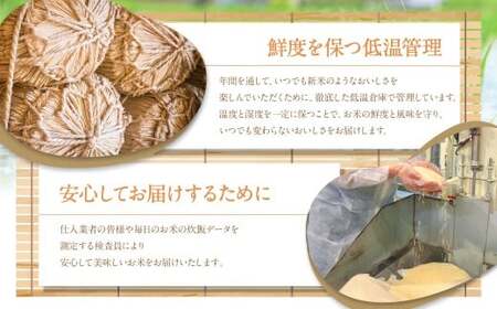 【6ヶ月定期便】福岡県産つやさくら 10kg 岡垣町 ふるさと納税返礼品 お米 こめ 精米 ご飯 ごはん 国産 定期便
