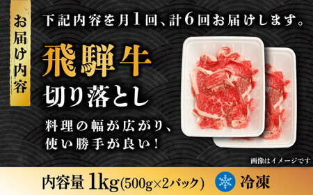 【6回定期便】飛騨牛切り落とし 1kg【肉の丸長】 和牛 ブランド牛 国産  [TAZ016]