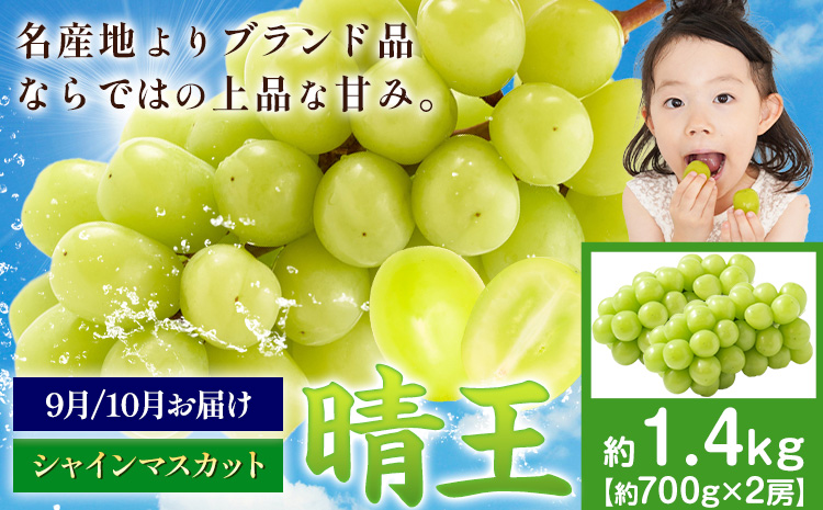 【先行予約】ぶどう シャインマスカット 晴王 1.4kg 2房 ハレノフルーツ(アストライ)《9月上旬-11月中旬頃出荷》岡山県 浅口市 送料無料 フルーツ 果物 マスカット お取り寄せフルーツ【配送不可地域あり】（北海道・沖縄・離島）---124_c1125_9j11c_24_35000_1400g---