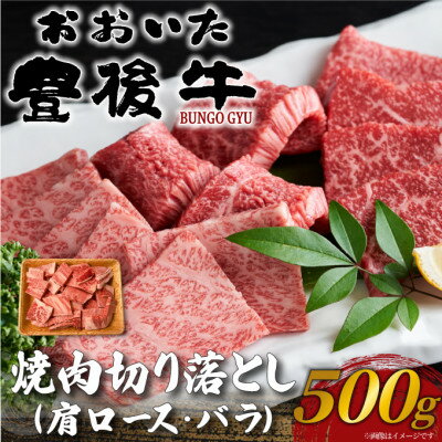 【ふるさと納税】おおいた豊後牛焼肉切り落とし 500g(日出町)【配送不可地域：離島】【1571734】