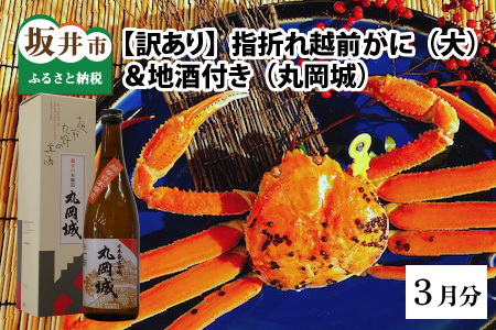 【先行予約】名人が茹でる 指折れ訳あり越前がに(大)1杯 やまに仕込み 地酒(丸岡城)付き【3月発送分】[G-4302_03]
