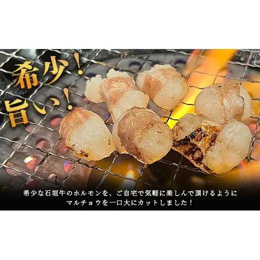 マルチョウ300g×3パック　IM-13