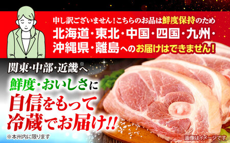 瑞浪ボーノポークしゃぶしゃぶ　　　　　　まんぷくセット1Kg【配送不可地域：離島・北海道・沖縄県・東北・中国・四国・九州】【1567383】