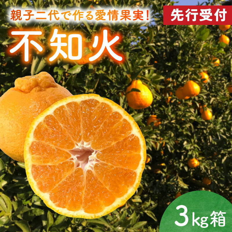 【ふるさと納税】先行受付 不知火 3kg 8～12玉 箱 天草産 柑橘 みかん 樹上完熟栽培 上品な甘さ 果物 フルーツ 果樹園 有楽園 お取り寄せ お取り寄せフルーツ のし対応可 常温配送 熊本県 天草市 送料無料
