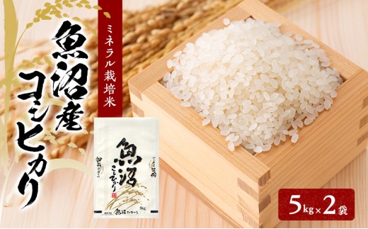 
                  [№5762-1294][令和7年産]魚沼産コシヒカリ ミネラル栽培米（精米）10kg（5kg×2）
                