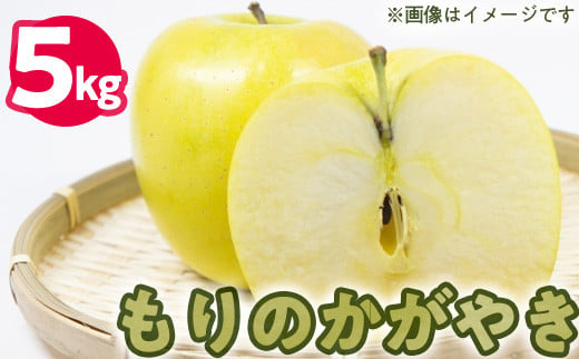 50-C　伊藤りんご園　もりのかがやき　5kg｜りんご 福島県産 リンゴ　※2024年10月上旬頃より順次発送予定