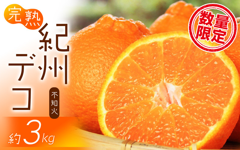 
            果肉プリプリ♪ 完熟紀州デコ(不知火) 約3kg ＜2026年2月下旬頃〜2026年3月中旬頃発送＞ 不知火 みかん ミカン 柑橘 果物 フルーツ【uot706A】
          