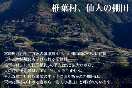 【世界農業遺産】 仙人の棚田米 5kg 椎葉産 米 産地直送