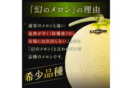 メロン／果物【先行予約／数量限定200】幻のメロン 新芳露 2玉（2025年7月中旬～発送）　「幻のメロン」と言われる希少メロン
