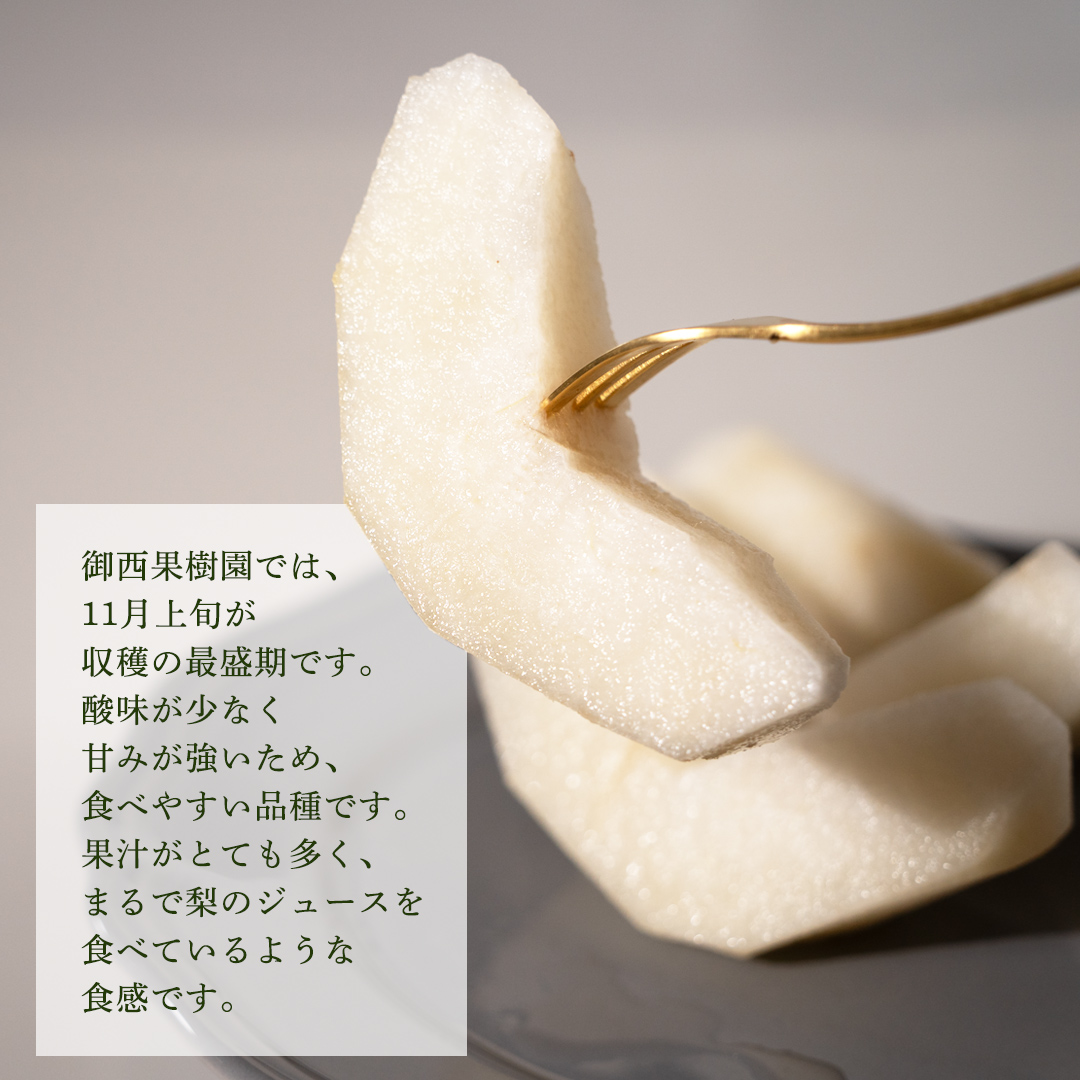 ＜農家直送＞梨 にっこり 4～6個 (3kg) 先行予約 2026年発送 完