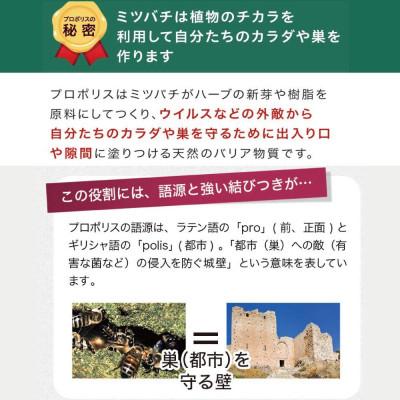 ふるさと納税 津山市 【毎月定期便】プロポリス粒 (486)全3回 |  | 02