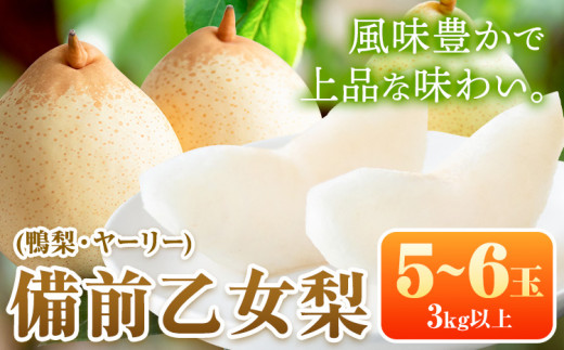 【先行予約】梨 なし 乙女梨 5~6玉 3kg 以上 石原果樹園 なし フルーツ 果物 新鮮《2025年11月下旬-2026年1月上旬頃より発送予定》岡山県 浅口市 果物 フルーツ 梨 鴨梨 備前乙女梨 ヤーリー