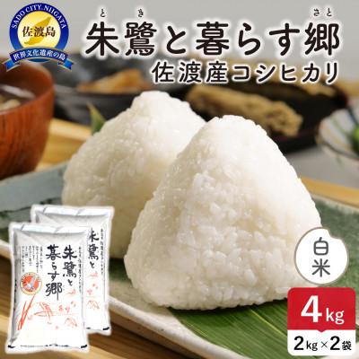 ふるさと納税 佐渡市 令和7年産 佐渡島産コシヒカリ「朱鷺と暮らす郷」白米4kg 特別栽培米【食の宝島佐渡】