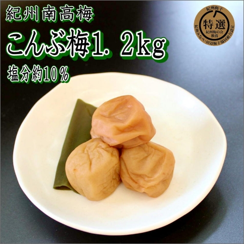 【家庭用】紀州南高梅　こんぶ梅　1.2ｋｇ