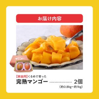【家庭用】くるめで育った完熟マンゴー （2玉：約0.8～1kg）