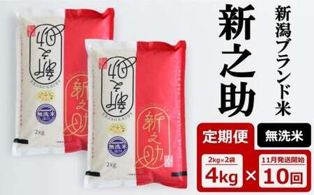 先行予約【令和7年産新米・10ヶ月定期便】新之助 無洗米 4kg（2kg×2袋）×10回（計 40kg）中村農研 [Y0541]