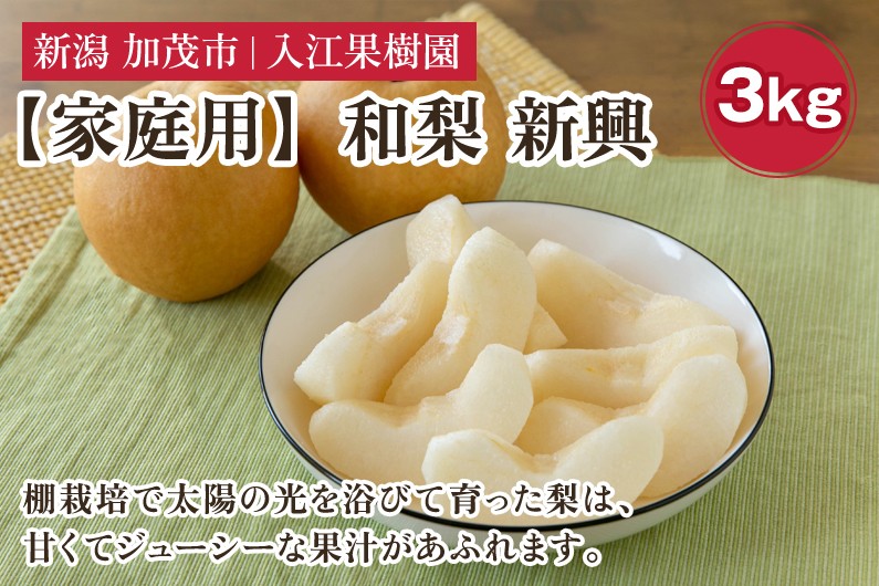 
                  【家庭用】和梨 新興 3kg（5～6玉）《10月中旬～順次出荷》 しんこうなし 果物 フルーツ ナシ 新潟産 加茂市 入江果樹園
                