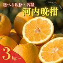 吉本農園の木取り完熟愛南ゴールド 河内晩柑 5kg  訳あり