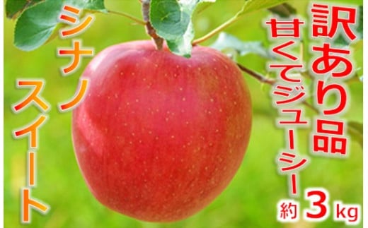 【009-51】シナノスイート　訳あり　約3キロ！　信濃三兄弟の一つ（りんご・リンゴ・林檎）
